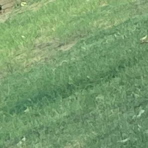 Meet your Posher, Brayleigh